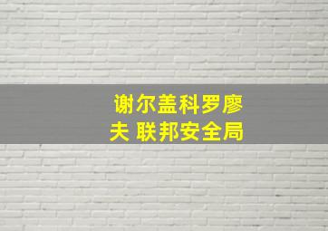 谢尔盖科罗廖夫 联邦安全局